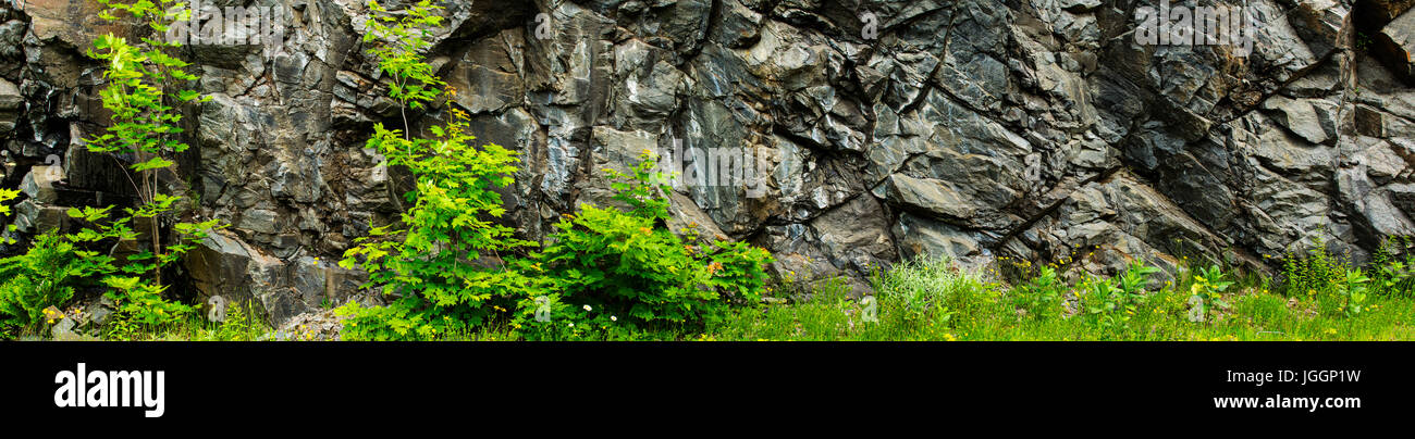 Panorama naturale di roccia della parete Algonquin Provincial Park Ontario Canada Foto Stock