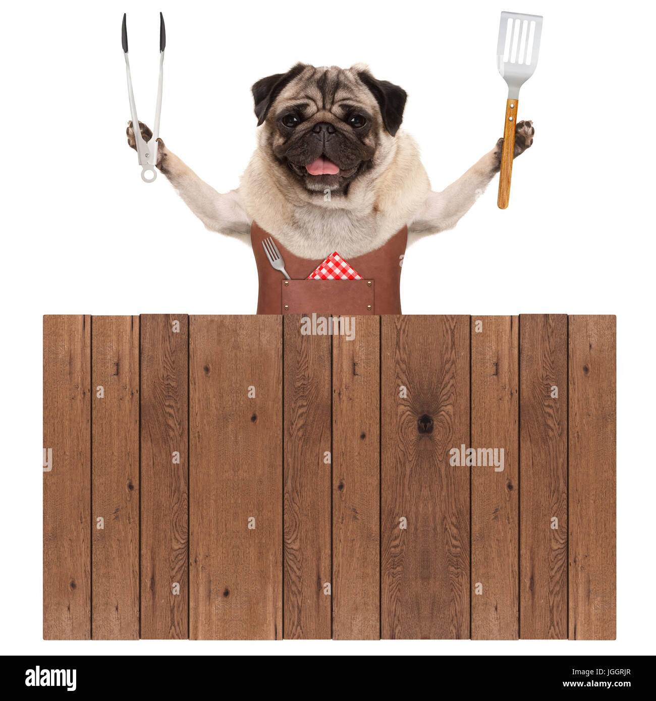 Sorridente pug dog indossando il cuoio grembiule, tenendo la carne tong e la spatola, dietro la recinzione di legno, isolato su sfondo bianco Foto Stock