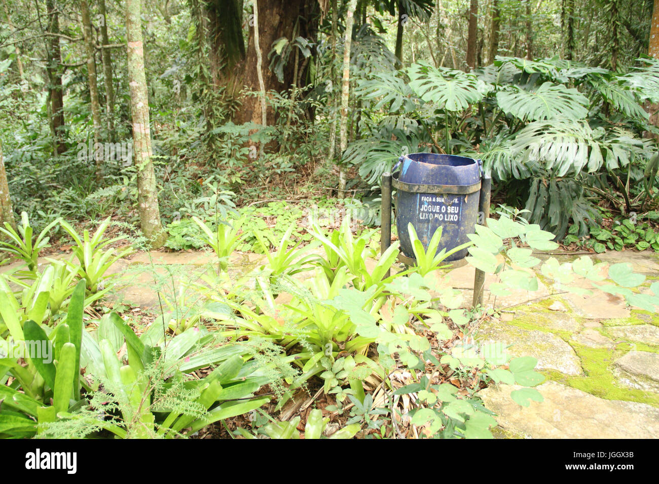 Cestino, 2016, Parco Ecológico Quedas do Rio Bonito, Lavras, Minas Gerais, Brasile. Foto Stock