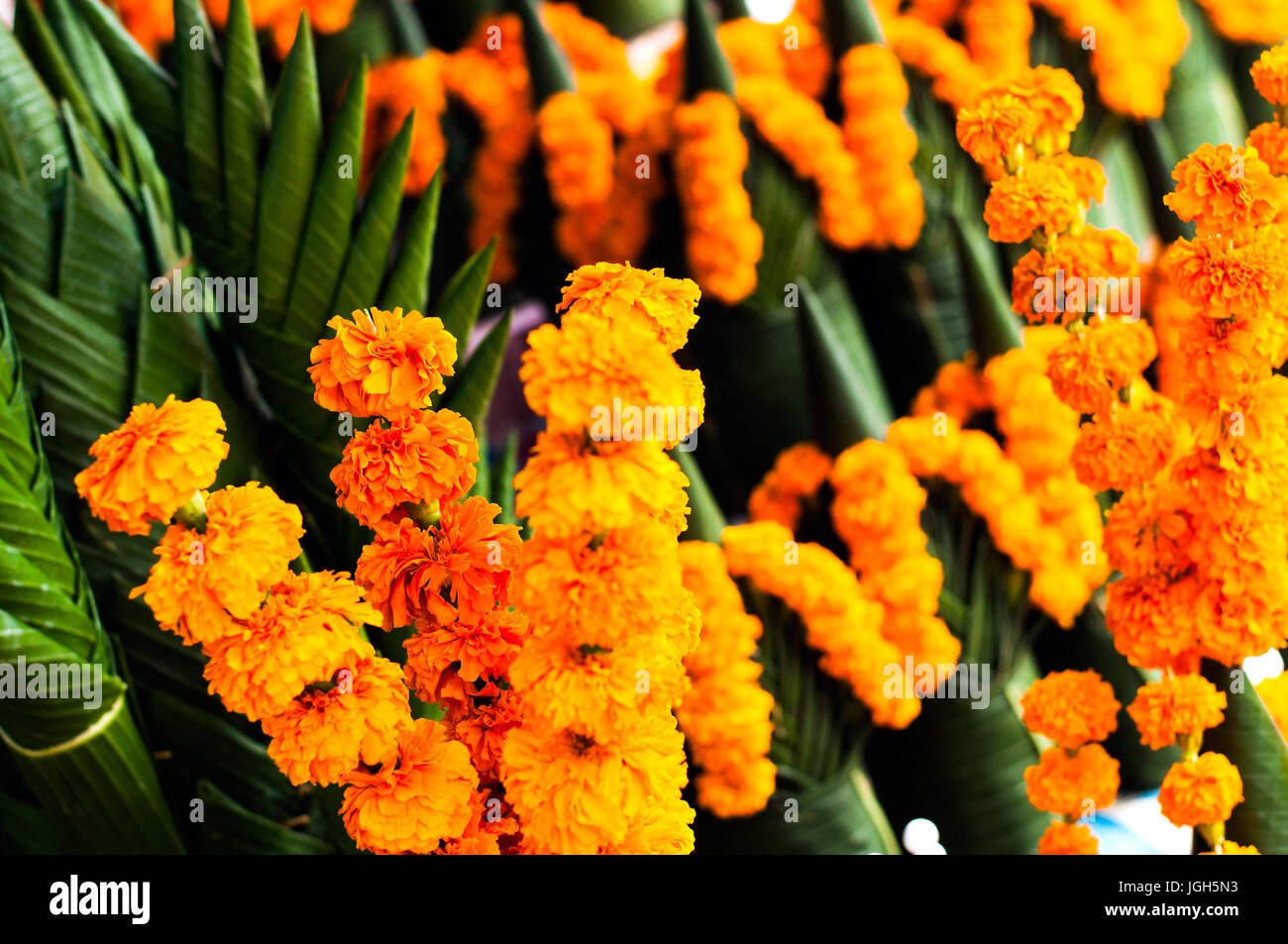 Tempio floreali offerte sulla vendita, Vientiane, Laos Foto Stock