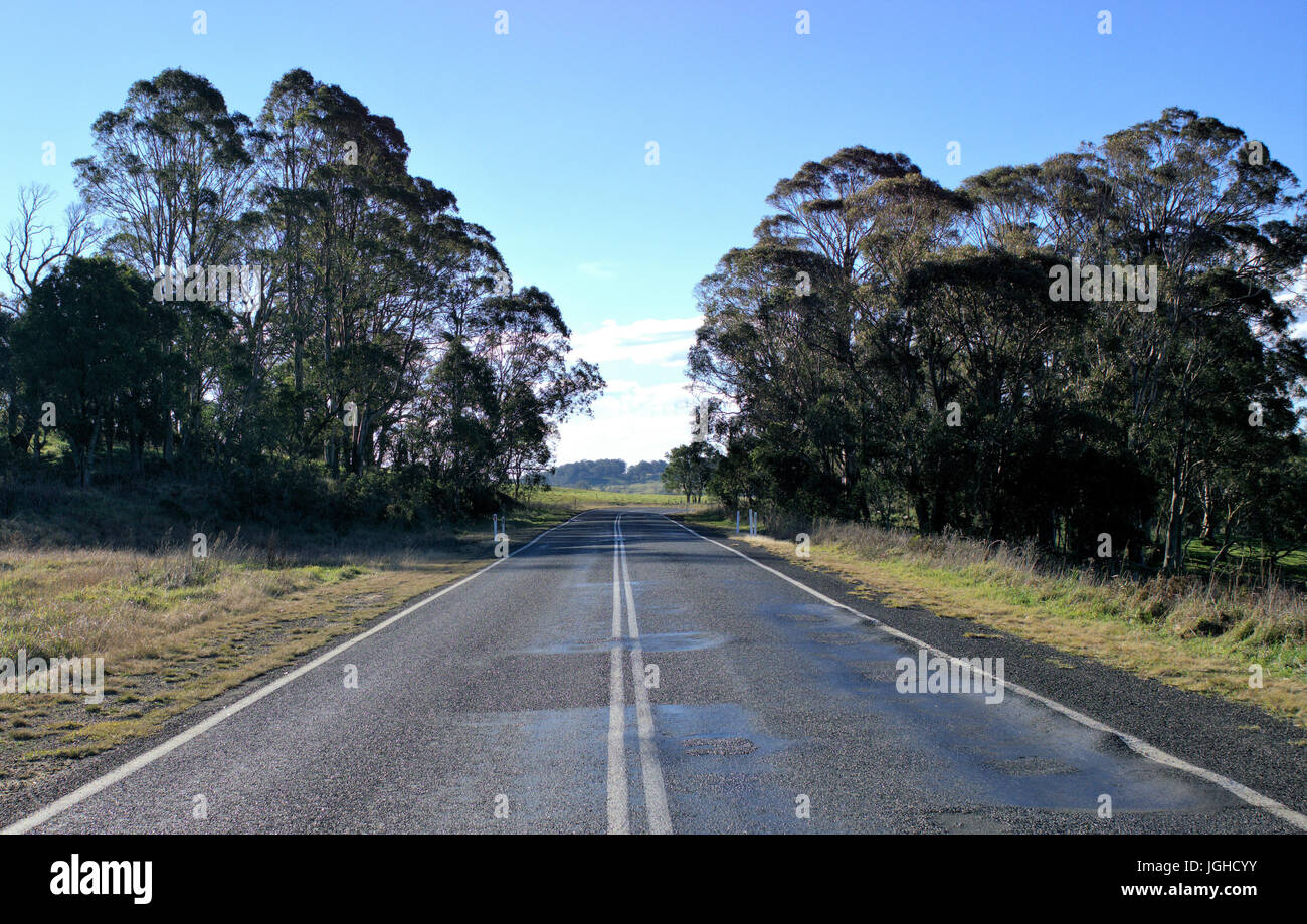 Bella strada di campagna con erba verde prato con alberi e cielo blu nel lontano sullo sfondo del Nuovo Galles del Sud Australia Foto Stock