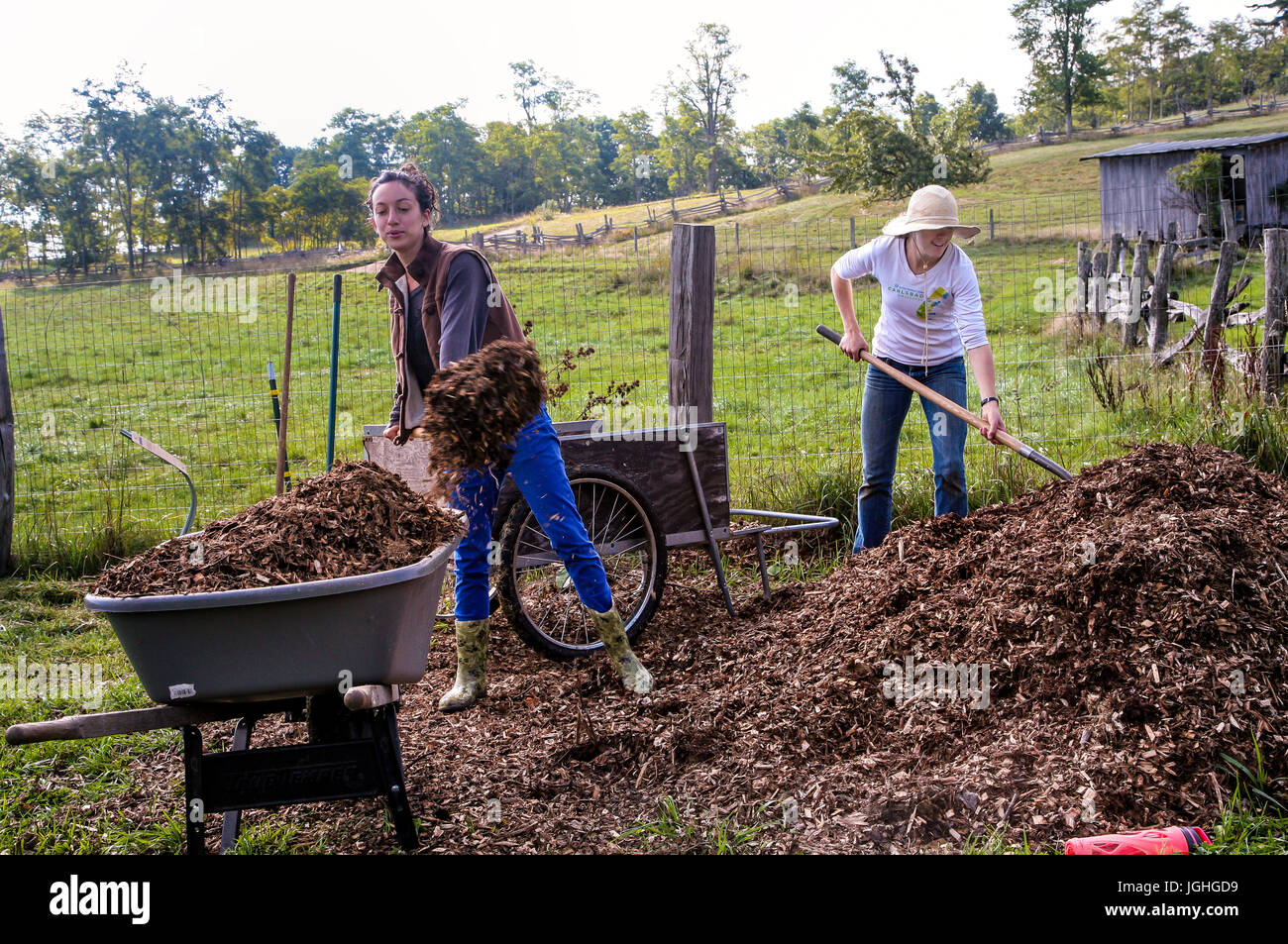 Giovani donne mulching dell'azienda, il lavoro di squadra, 20's Foto Stock