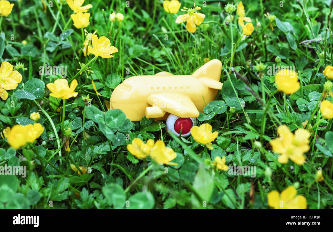 Bel colore giallo aeroplano giocattolo in estate di erba fresca Foto Stock