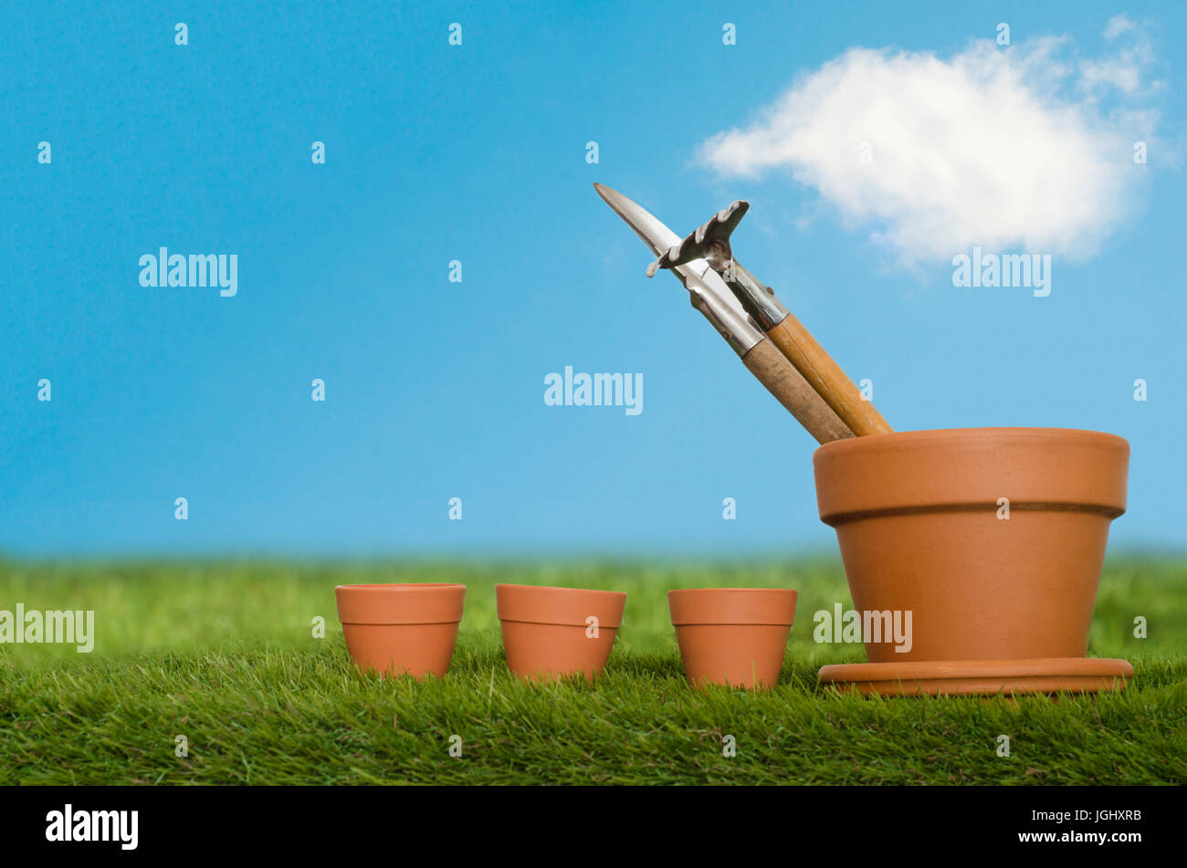 Impianto pentola contenente gli strumenti di incapsulazione, accanto a una fila di tre piccoli vasi piantina di erba con un luminoso cielo blu e bianchi e soffici in cloud bacikground. Foto Stock