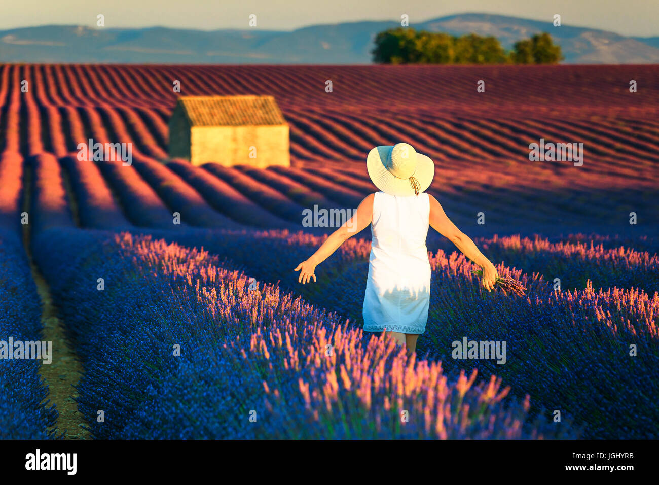 Libera Meravigliosa donna felice per godersi la natura. Il concetto di libertà con stupefacente campo di lavanda. Foto Stock