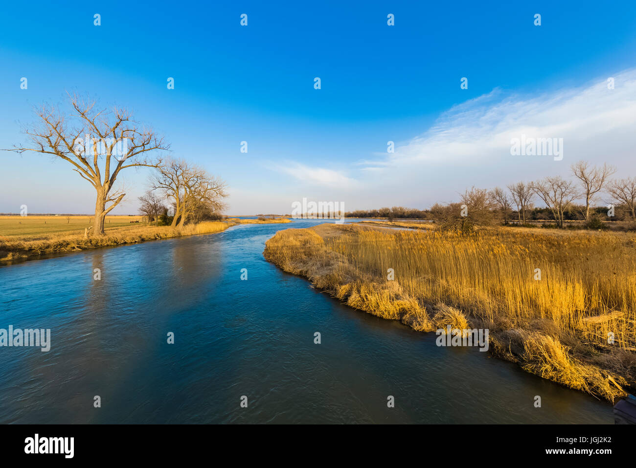 Il fiume Platte in primavera; in la mattina presto e al crepuscolo questa scena è viva con migliaia di gru Sandhill, Antigone canadensis, sosta Foto Stock