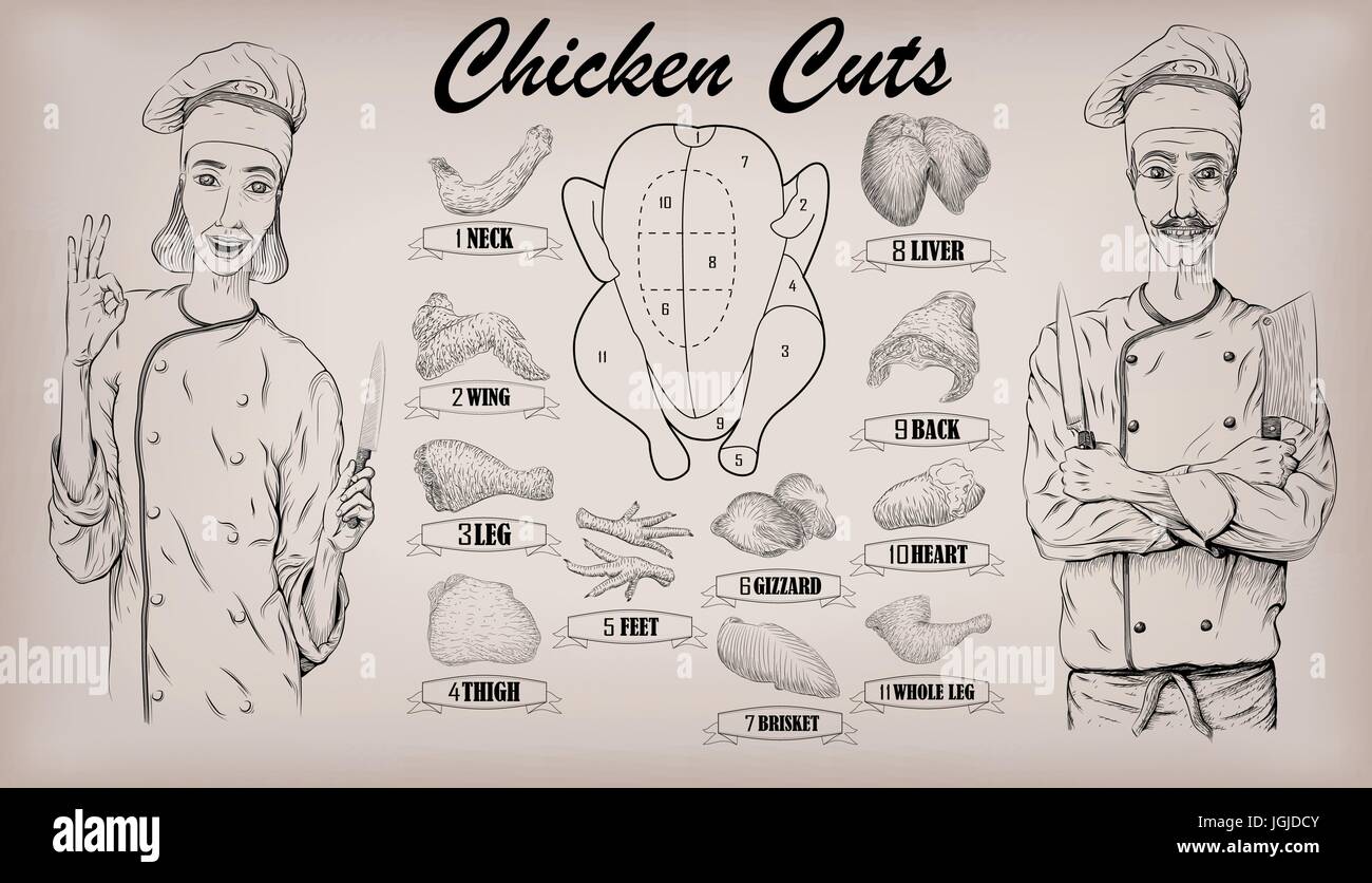 La carne di pollo è una tela di parti tagliate trita info schema grafica segno manifesto di macellai collo guida ventriglio donna e uomo macellaio cook vettore verticale closeup h Illustrazione Vettoriale
