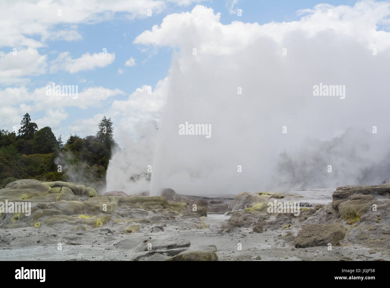 Pohutu Geyser Te Puia Te Whakarewarewa Valle Thermal Nuova Zelanda Foto Stock