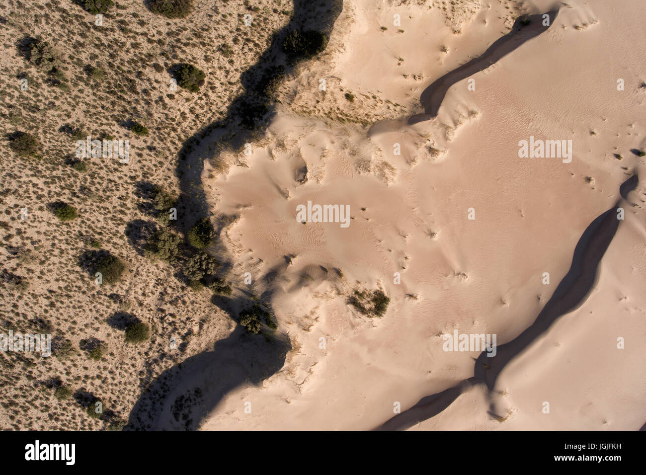 Vista aerea di enormi dune di sabbia nella regione arida del Capo Settentrionale, Sud Africa Foto Stock