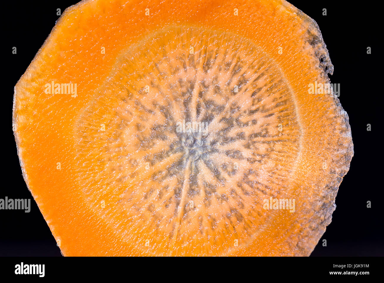 In prossimità di una sottile fetta di carota retro illuminata con un bellissimo modello e brillante di colore arancione Foto Stock