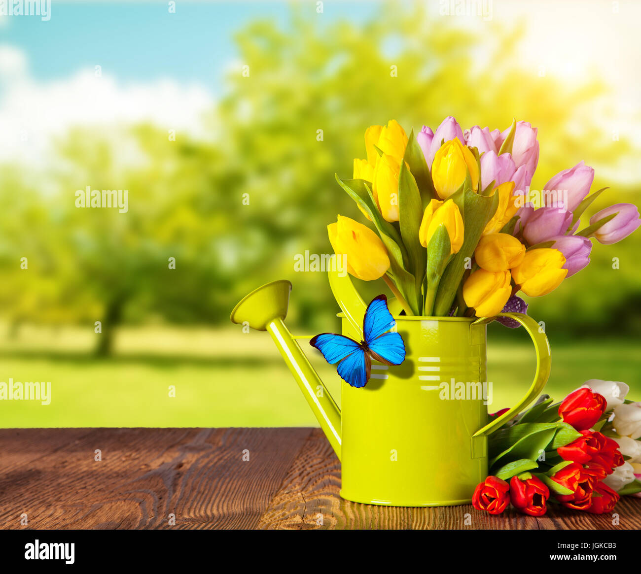 Spring pink tulip bouquet di fiori su tavole di legno, giardino di sfocatura sullo sfondo Foto Stock