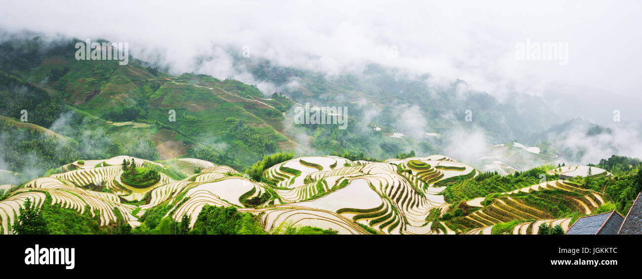 Panorama di nebbia di riso terrazzati in campo Longji, area di Guilin, Cina Foto Stock