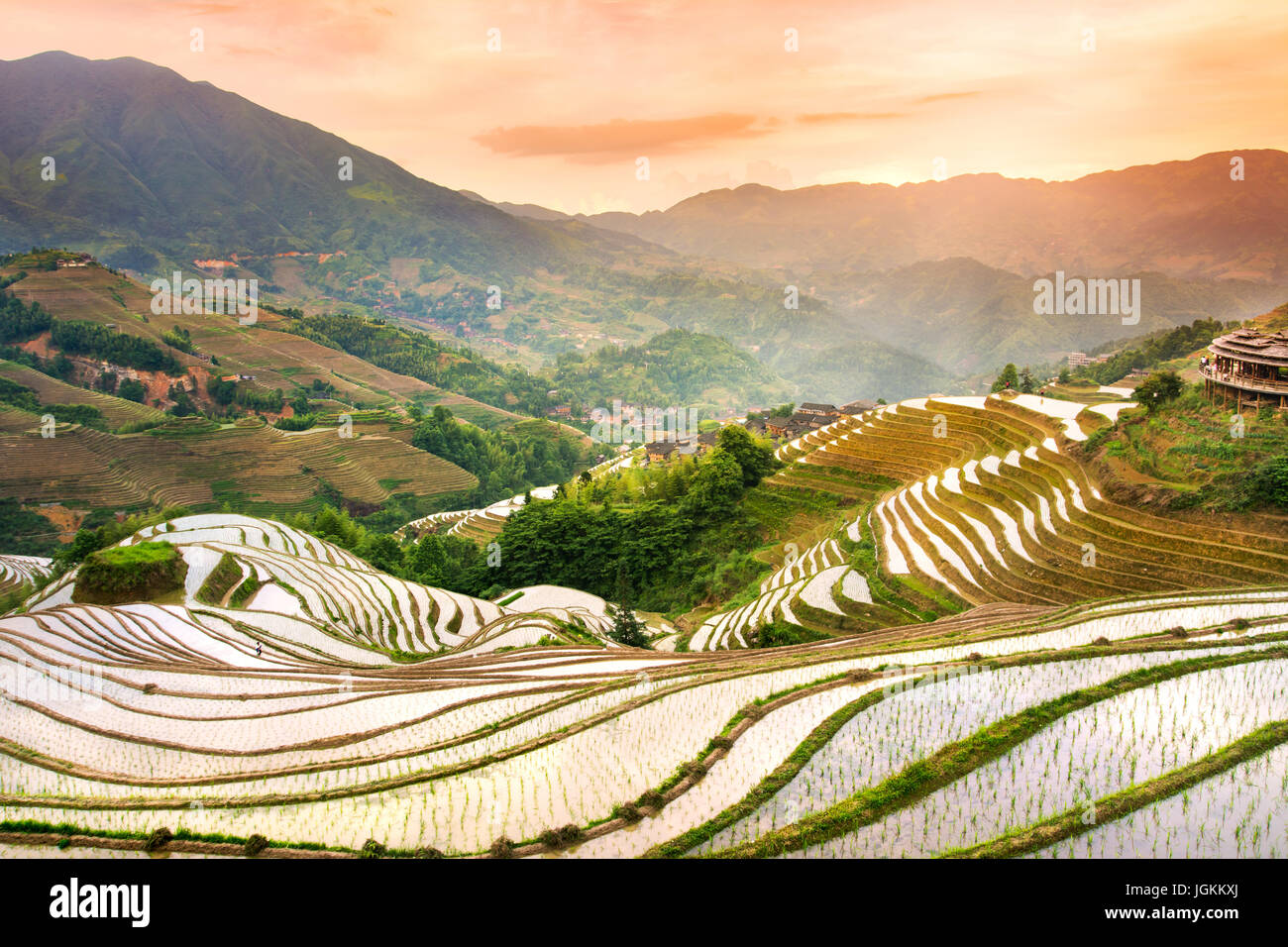 Tramonto sul riso terrazzati in campo Longji, area di Guilin, Cina Foto Stock
