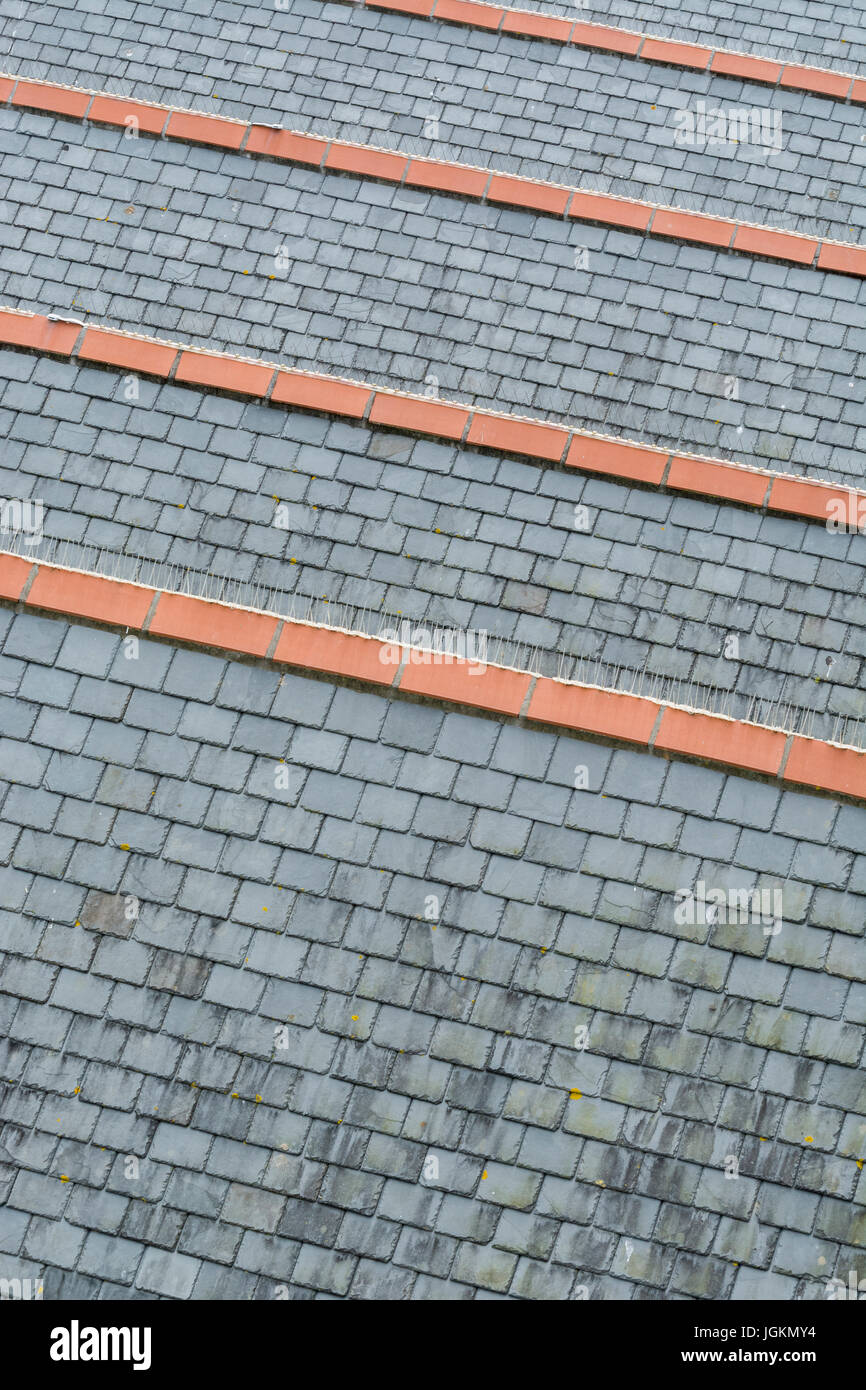 Serie di collegato i tetti con il grigio ardesia ceramica e piastrelle di colmo. Possibile metafora per salire sulla scaletta di alloggiamento. Foto Stock