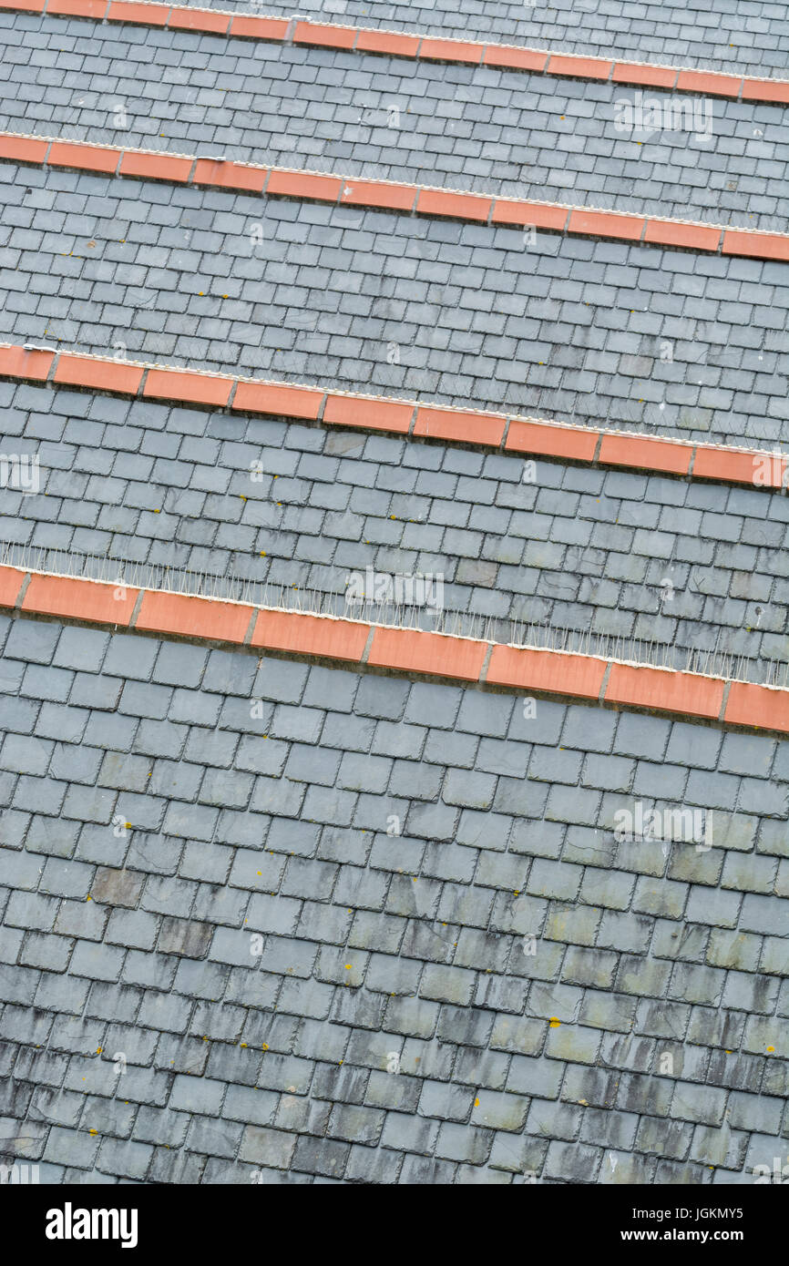 Serie di collegato i tetti con il grigio ardesia ceramica e piastrelle di colmo. Possibile metafora per salire sulla scaletta di alloggiamento. Foto Stock