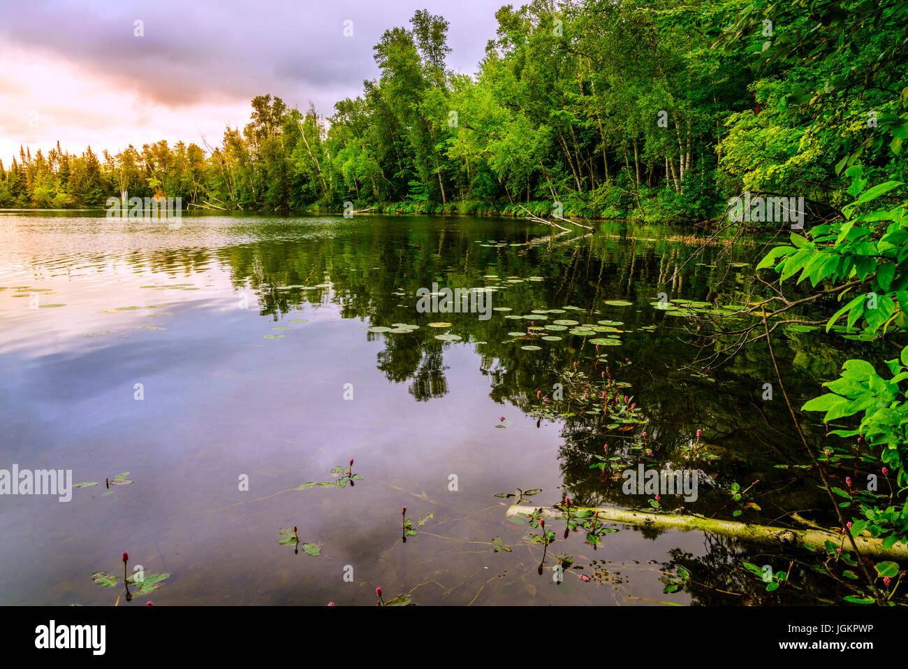 Piccolo lago nella Penisola Superiore del Michigan. al tramonto Foto Stock