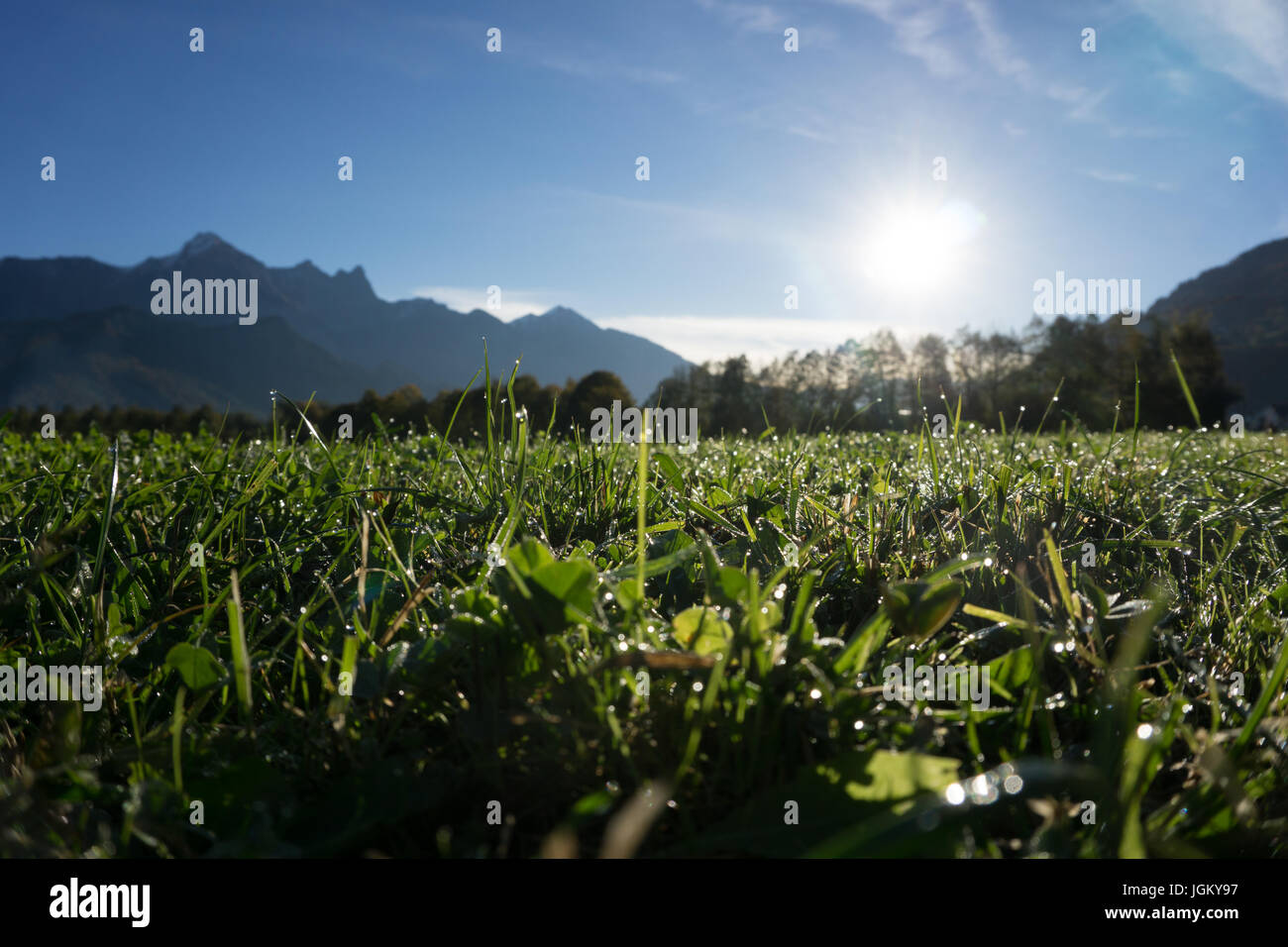 Europa Schweiz Sargans Wangs Weide im Gegenlicht starke Schatten Foto Stock