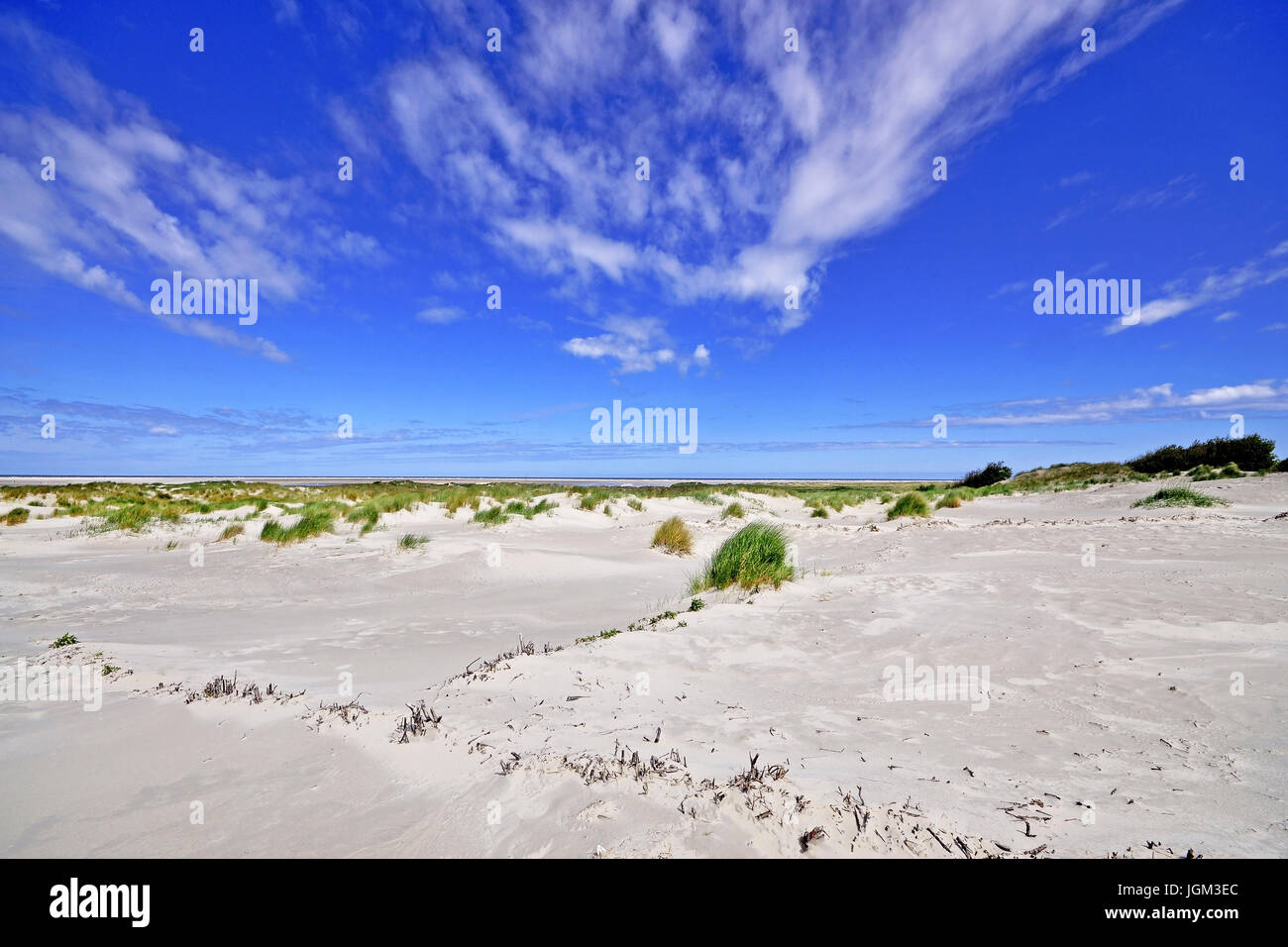 L'Europa, Germania, Bassa Sassonia, East Friesland, Friesland, scenario, cielo blu, il giorno, la luce diurna, fuori campo di registrazione, fotografia, viaggio, turismo, cloud Foto Stock