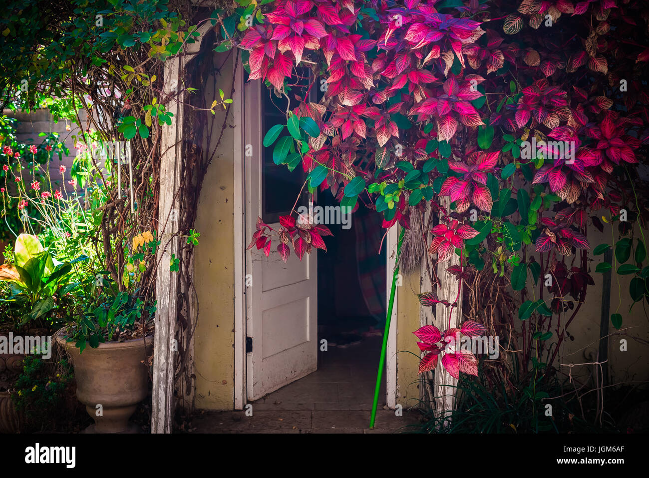 Porta aperta al capannone del giardino oscurato da foglie colorate Foto Stock