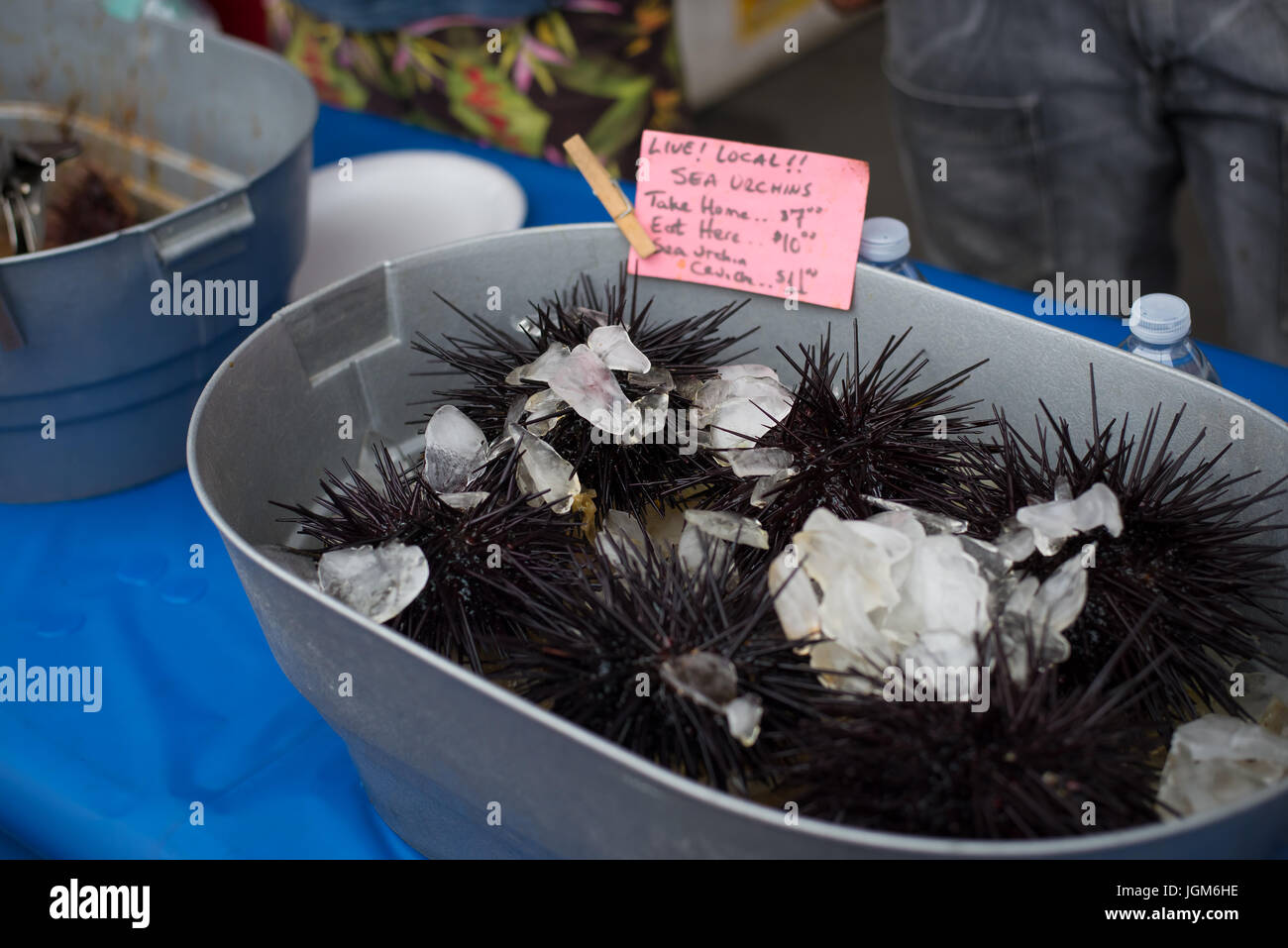 Riccio di mare in vendita al mercato dei Framer di San Diego Foto Stock