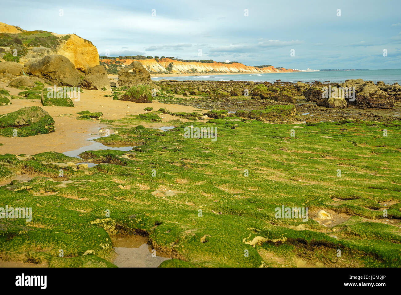 L'Europa, Portogallo, Algarve, Praia, spiaggia, spiaggia, Olhos de agua, muore giù, erosione, caduta rock, rock demolizione, alghe, Praia falesia Foto Stock