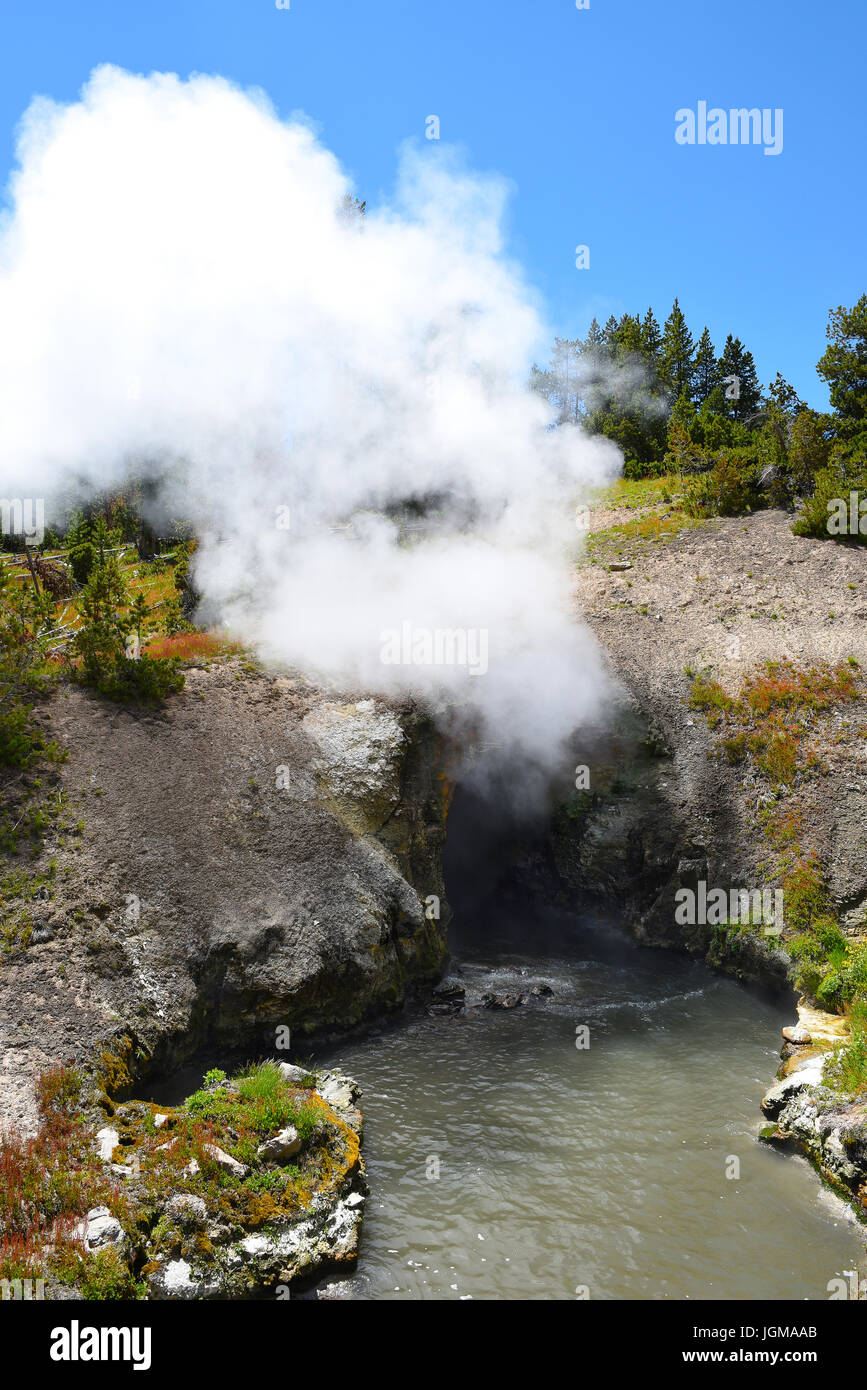 Draghi bocca molla, il parco nazionale di Yellowstone, Wyoming. Foto Stock