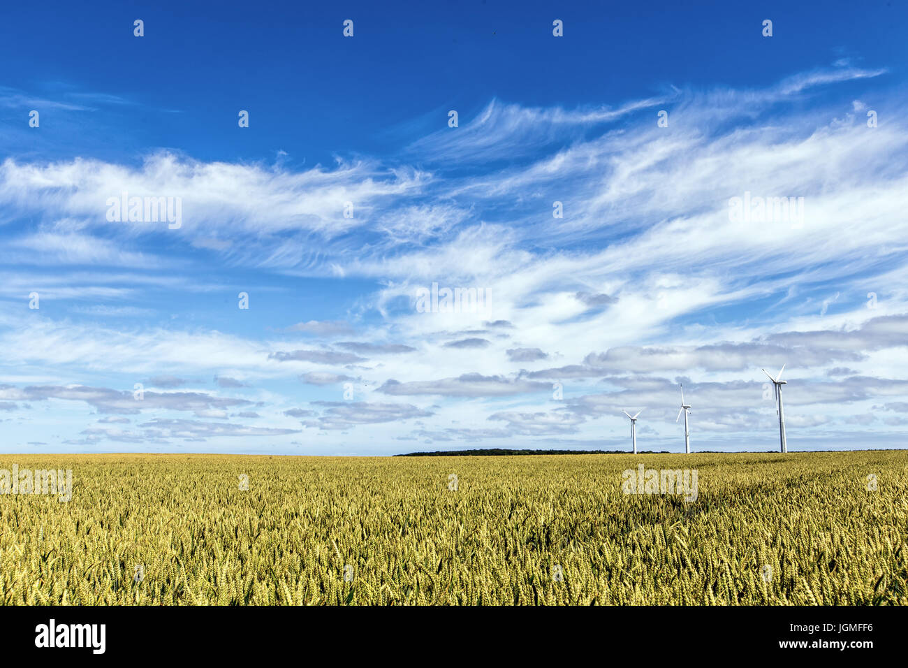 Energia pulita e rinnovabile da impianti di energia eolica, Rostock, Germania Foto Stock