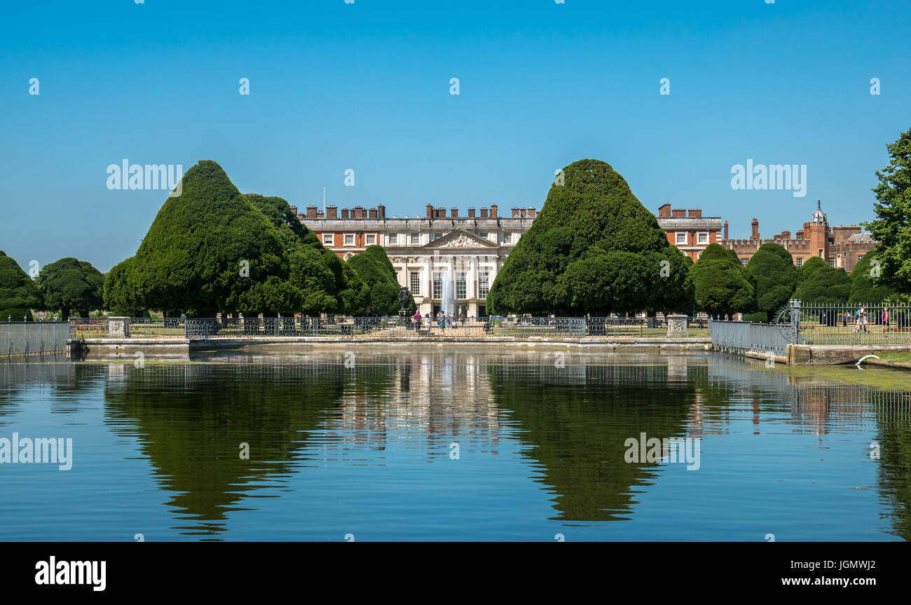 Vista degli alberi di tasso vecchi topiari, Hampton Court Palace, Londra, Inghilterra, Regno Unito Foto Stock