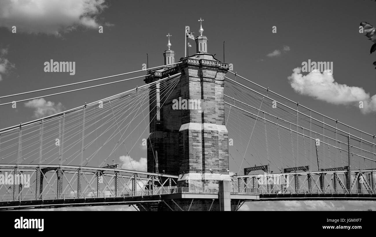 Roebling in B&W Foto Stock