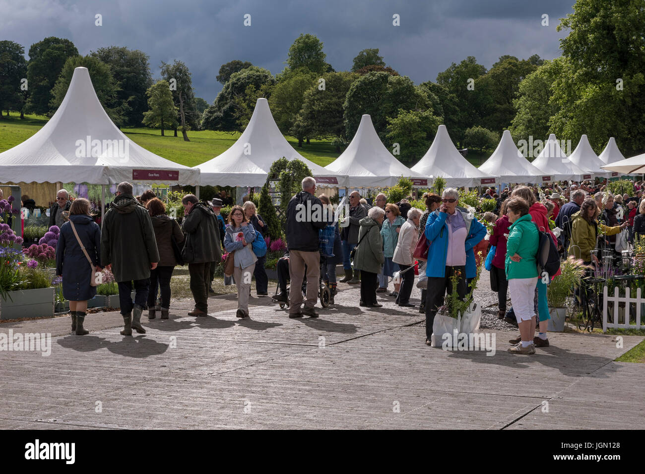 La folla di gente esplora tende & display di piante - Impianto Village, RHS Chatsworth Flower Show showground, la Chatsworth House, Derbyshire, Inghilterra, Regno Unito. Foto Stock