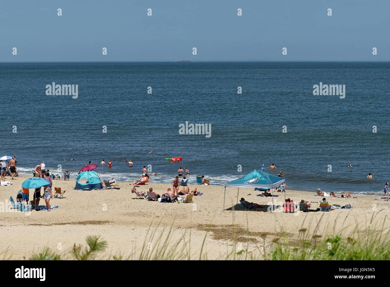 Cape Henlopen State Park, Delaware Foto Stock