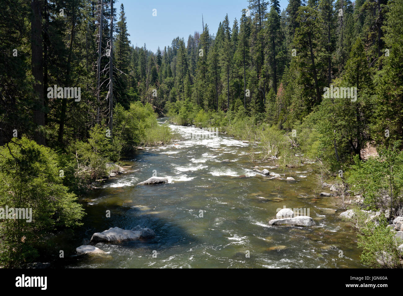 North Fork di Stanislao fiume passando attraverso il Parco Nazionale di Yosemite in California, Stati Uniti d'America, su un cielo chiaro giorno, visto da un ponte Foto Stock