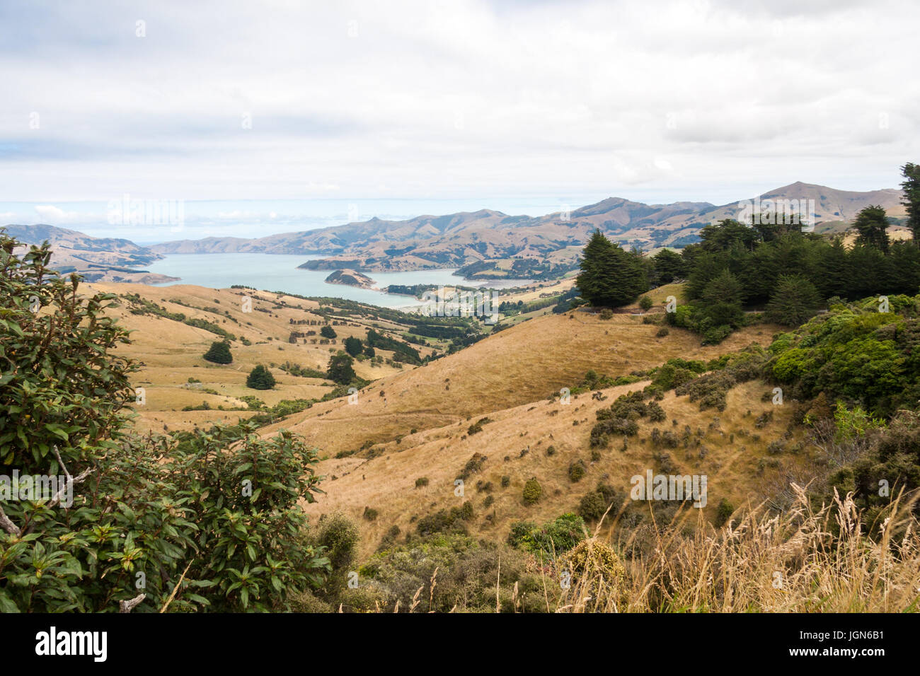 Vista su dolci colline al porto naturale di Akaroa, Nuova Zelanda Foto Stock