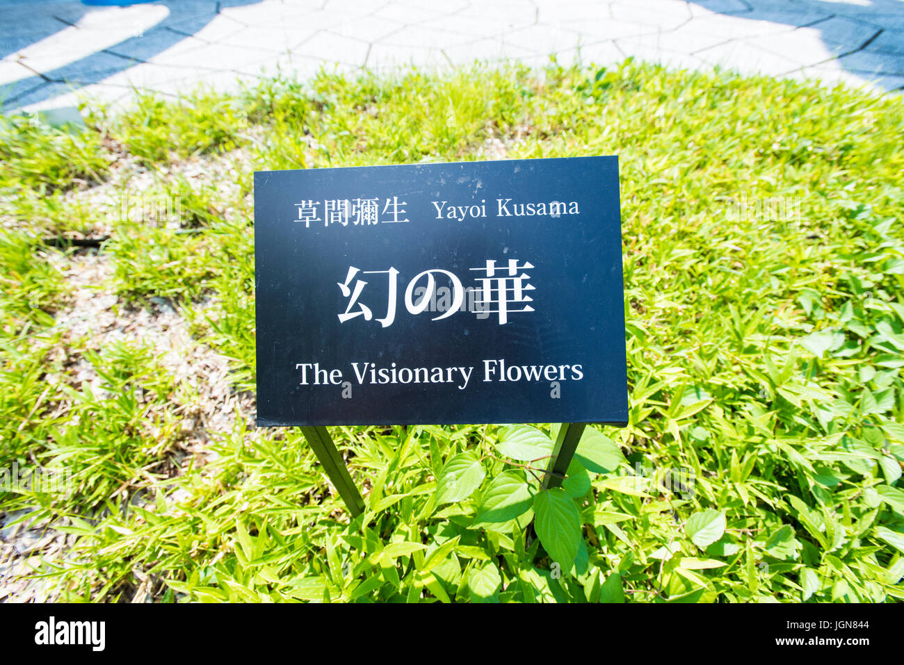 La Veggente di fiori, un arte ambientale della installazione di Yayoi Kusama a Matsumoto City Museum di arte. Foto Stock