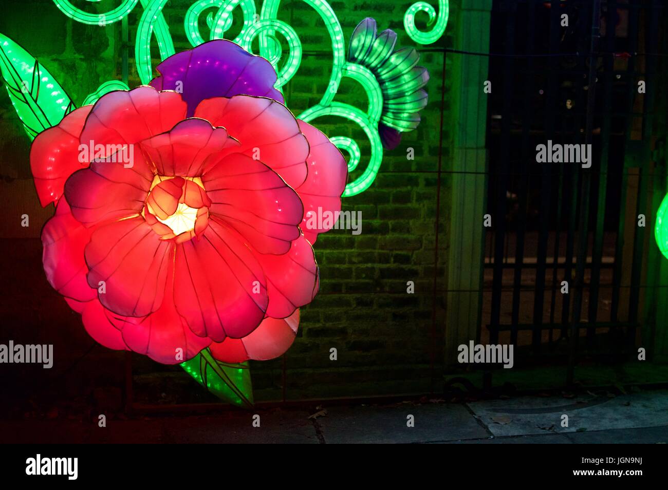 Il Chiswick cinese festival lanterna Foto Stock