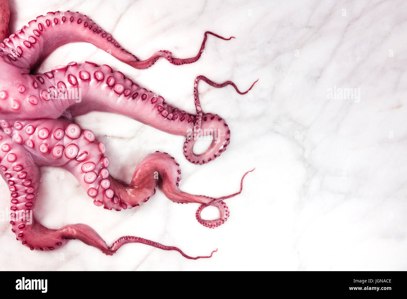 Foto aerea di tentacoli di polpo su marmo bianco Foto Stock