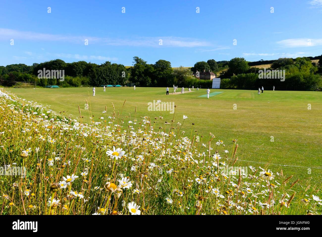 Martinstown, Dorset, Regno Unito. 8 luglio 2017. Regno Unito Meteo. Il Cricketers villaggio svolgendo sotto il cielo limpido al cricket ground a Martinstown nel Dorset in una giornata calda. Photo credit: Graham Hunt/Alamy Live News Foto Stock