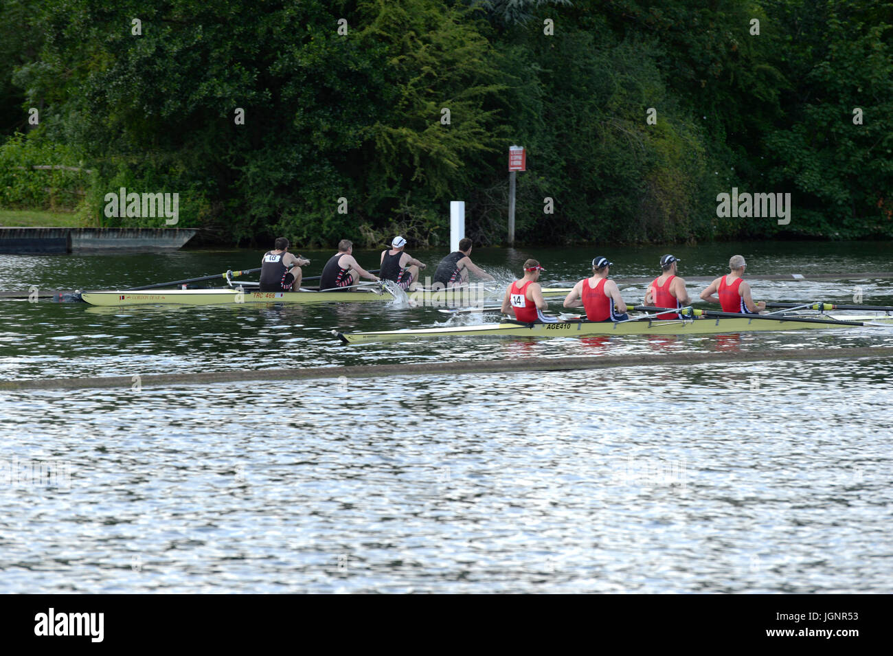 Henley on Thames, Regno Unito. 8 lug 2017. Henley on Thames 2017 Regata Credito: David Hammant/Alamy Live News Foto Stock