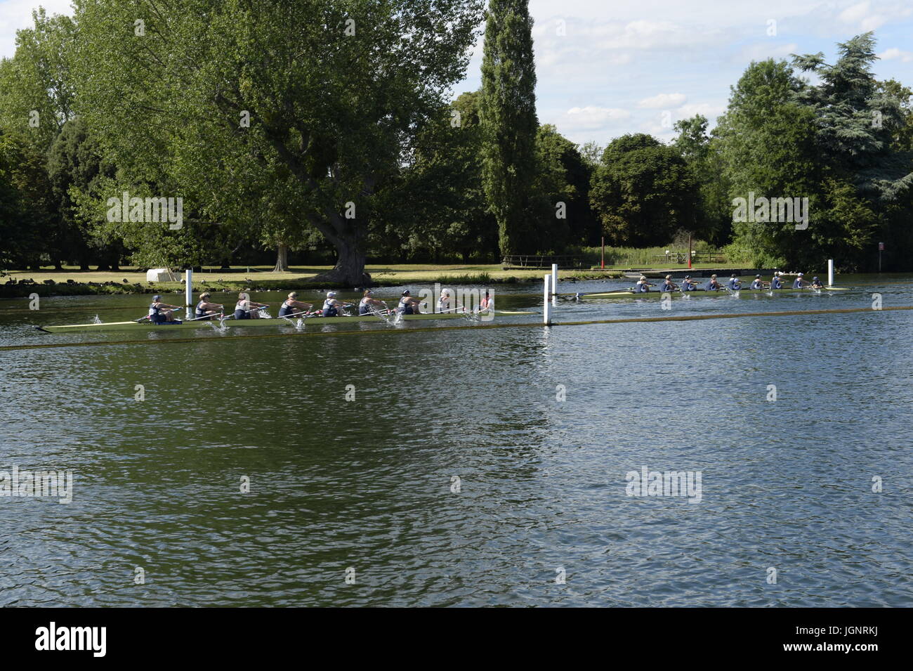 Henley on Thames, Regno Unito. 8 lug 2017. Henley on Thames 2017 Regata Credito: David Hammant/Alamy Live News Foto Stock