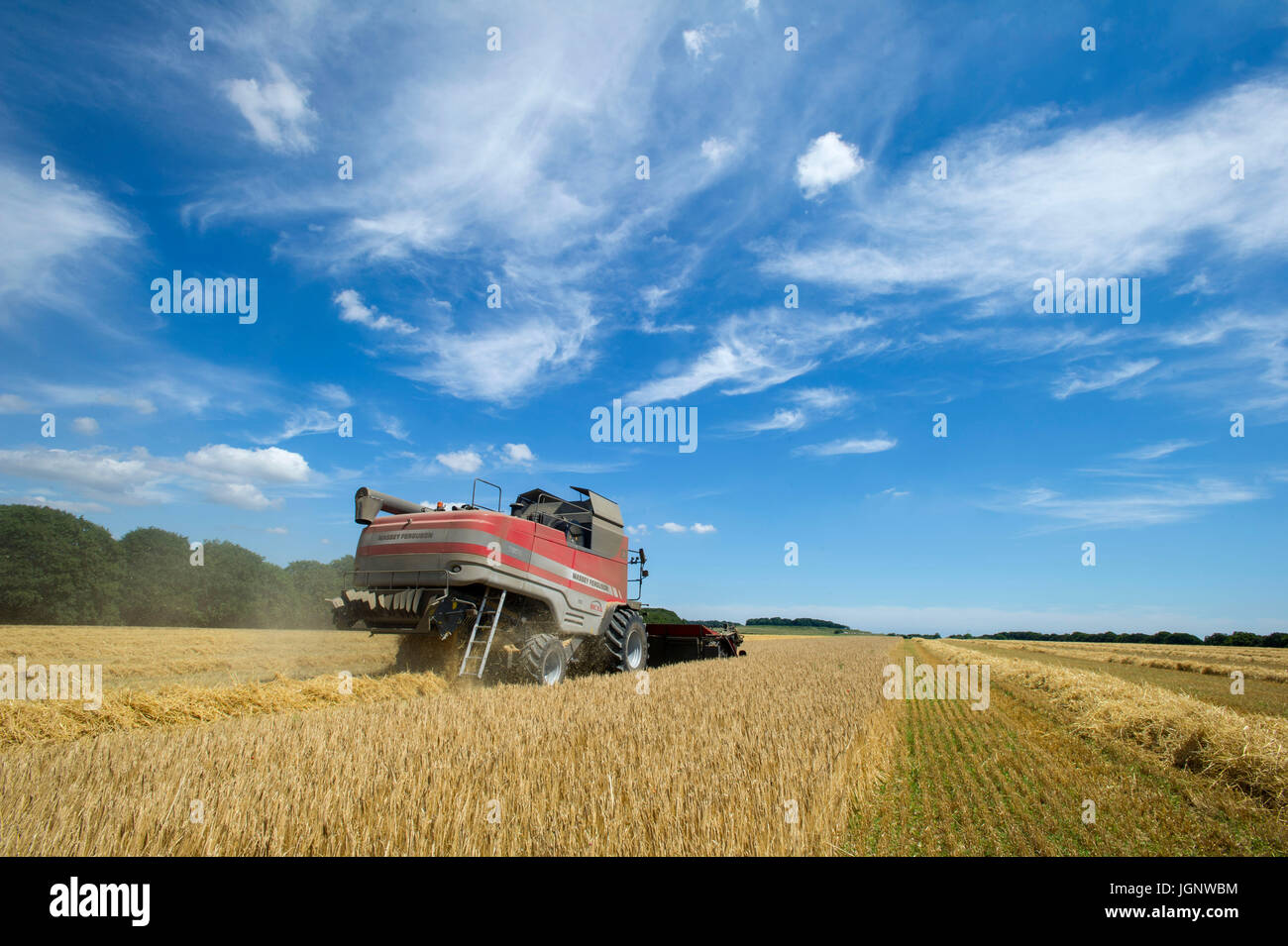 Dorset, Regno Unito. 9 Luglio, 2017. Regno Unito Meteo. Il Dorset gli agricoltori del raccolto di colture di frumento vicino Badbury anelli come l'ondata di caldo continua sulla costa sud dell'Inghilterra, Credito: John Beasley/Alamy Live News Foto Stock