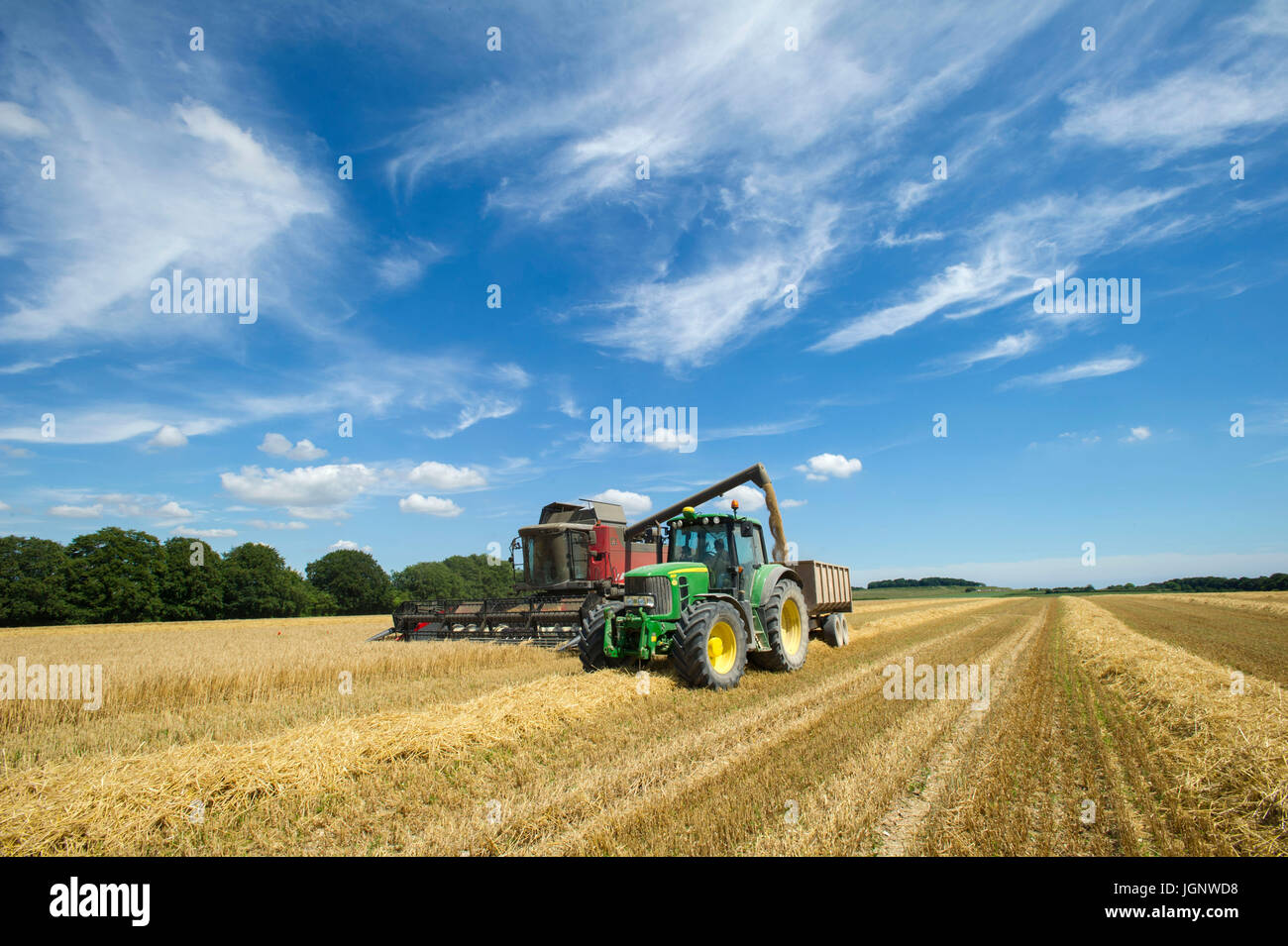 Dorset, Regno Unito. 9 Luglio, 2017. Regno Unito Meteo. Il Dorset gli agricoltori del raccolto di colture di frumento vicino Badbury anelli come l'ondata di caldo continua sulla costa sud dell'Inghilterra, Credito: John Beasley/Alamy Live News Foto Stock