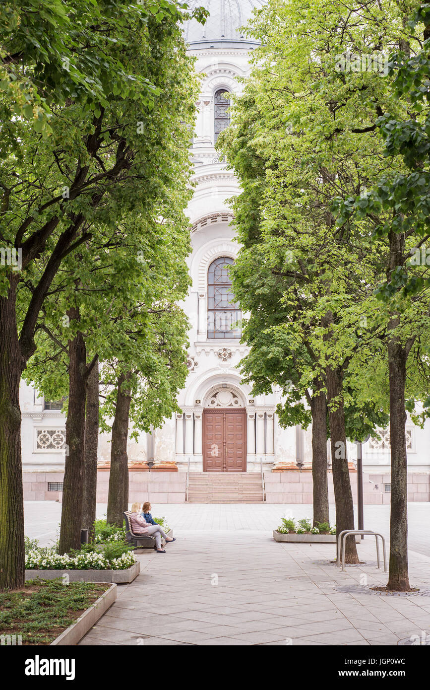 Avenue circondato da alberi in estate Foto Stock