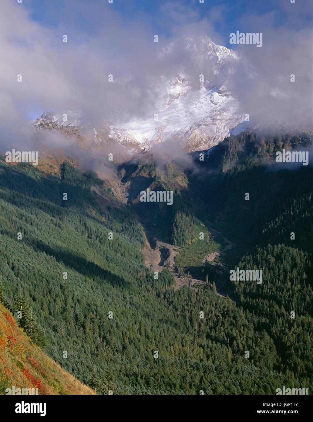 Stati Uniti d'America, Oregon, Mount Hood National Forest, Monte Cofano deserto, Drifting nubi oscure sul lato ovest del monte Cofano mentre arbusti caduta del display a colori su slo Foto Stock