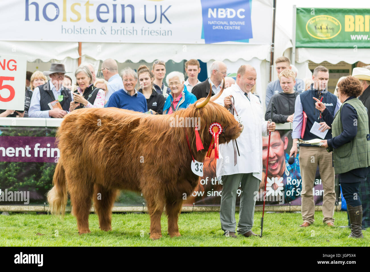 Campione delle Highland - Eleonora di Ubhaidh da Graeme Easton Ranch Livestock - del 2017 Royal Highland Show, Ingliston, Edimburgo, Scozia, Regno Unito Foto Stock