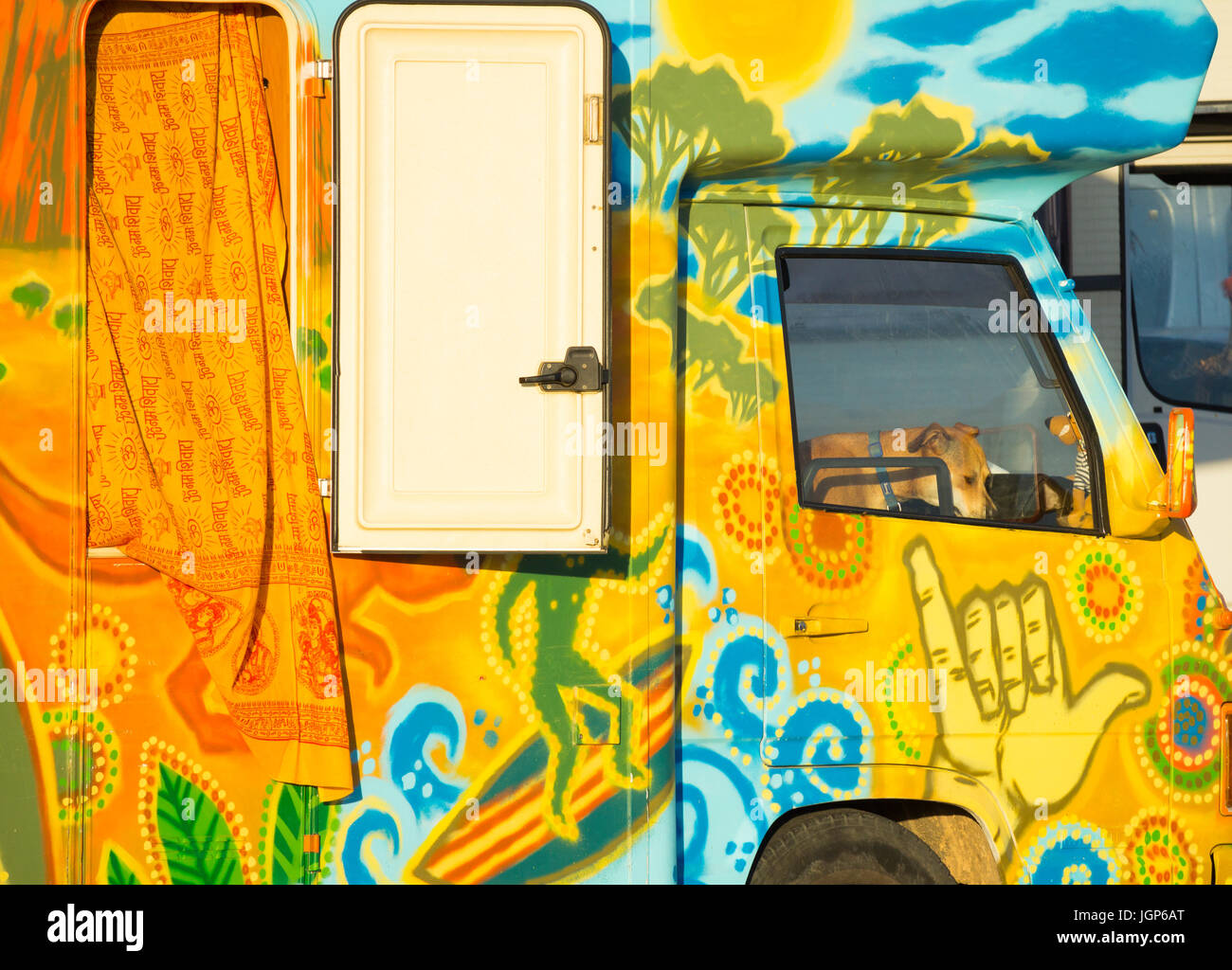 Cane in cabina di coloratissimi camper a festival in Spagna Foto Stock