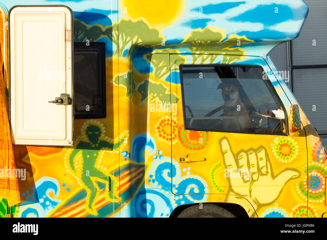 Cane in cabina di coloratissimi camper a festival in Spagna Foto Stock