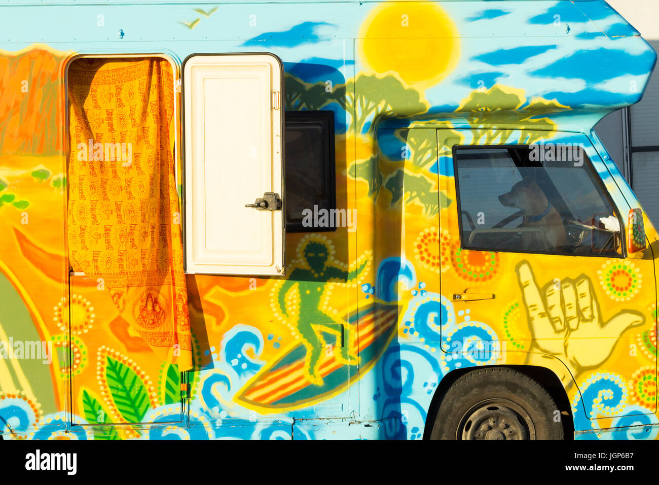 Cane in cabina di coloratissimi camper a festival in Spagna Foto Stock