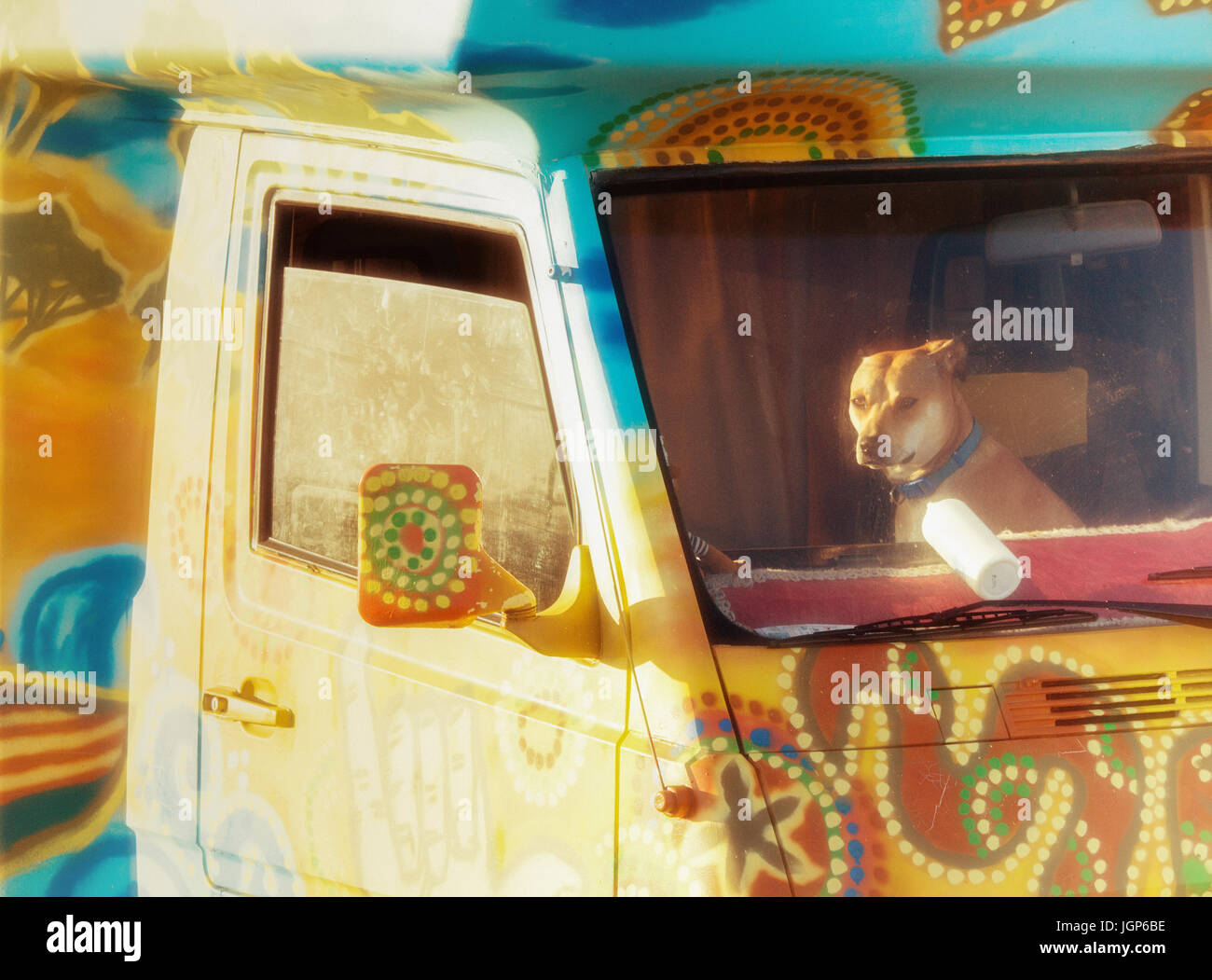 Cane in cabina di coloratissimi camper a festival in Spagna Foto Stock