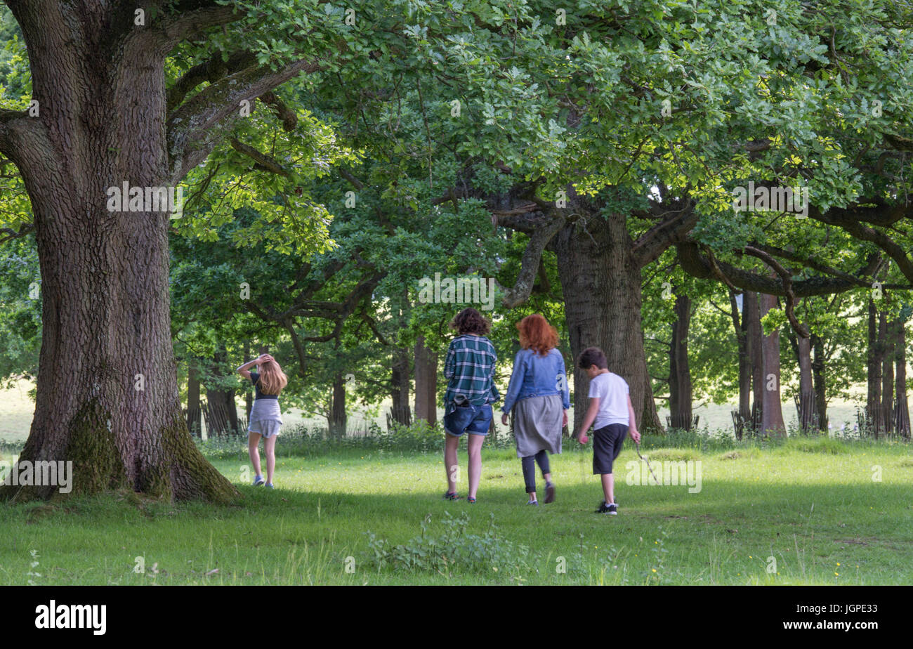 Famiglia passeggiate in un bosco, England, Regno Unito Foto Stock