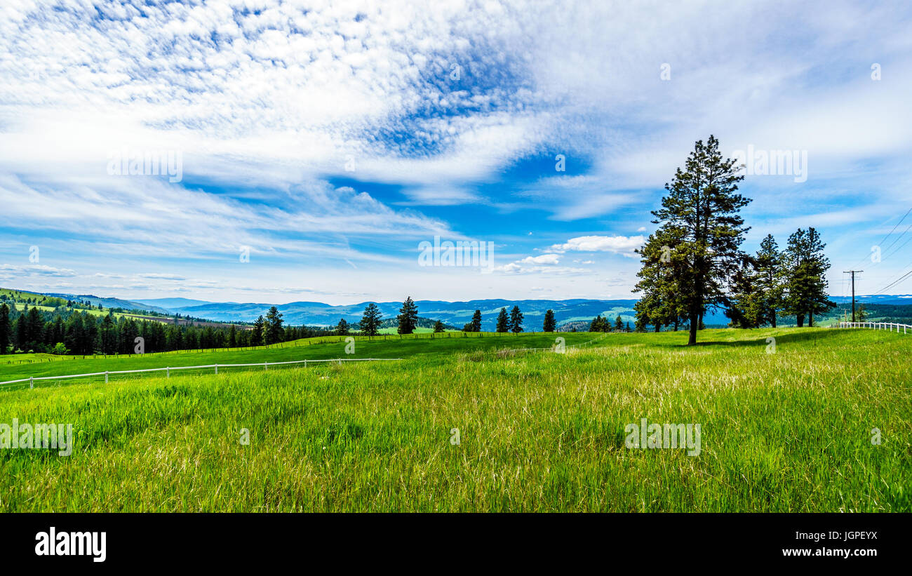 Praterie lungo il sole picchi di strada nella Shuswap Highlands nel centro di British Columbia, Canada Foto Stock